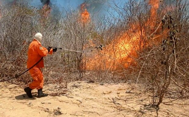 Órgãos do Estado intensificam ações para evitar queimadas e orientar população sobre riscos de incêndios