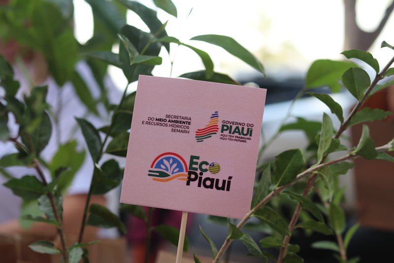 Semarh distribuirá 20 mil mudas de plantas nativas e frutíferas na Expoapi 2023