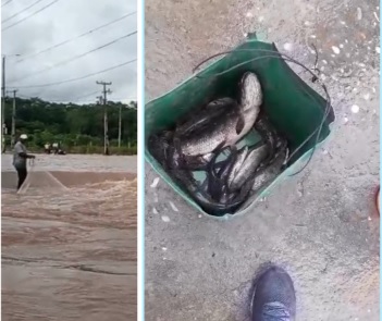 Inundação transforma avenida em ‘rio’ e local vira point de pescaria em Teresina (PI)