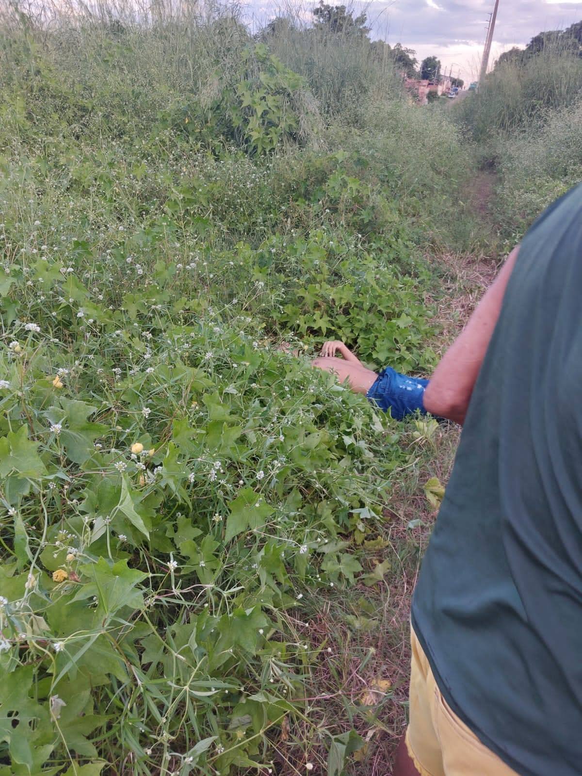 Corpo de homem com ferimento de bala é encontrado em matagal na cidade de Timon