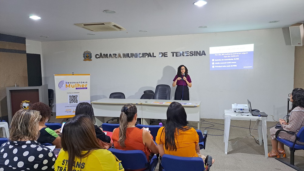 Cerca de 90 mulheres sofreram alguma violência em Teresina, aponta Observatório