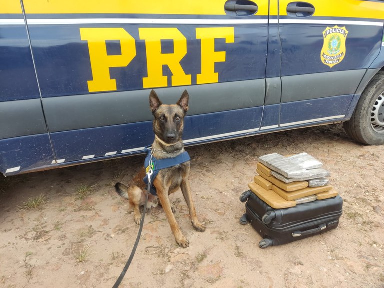 Passageira de ônibus é presa pela PRF com 11 kg de maconha em Timon (MA)