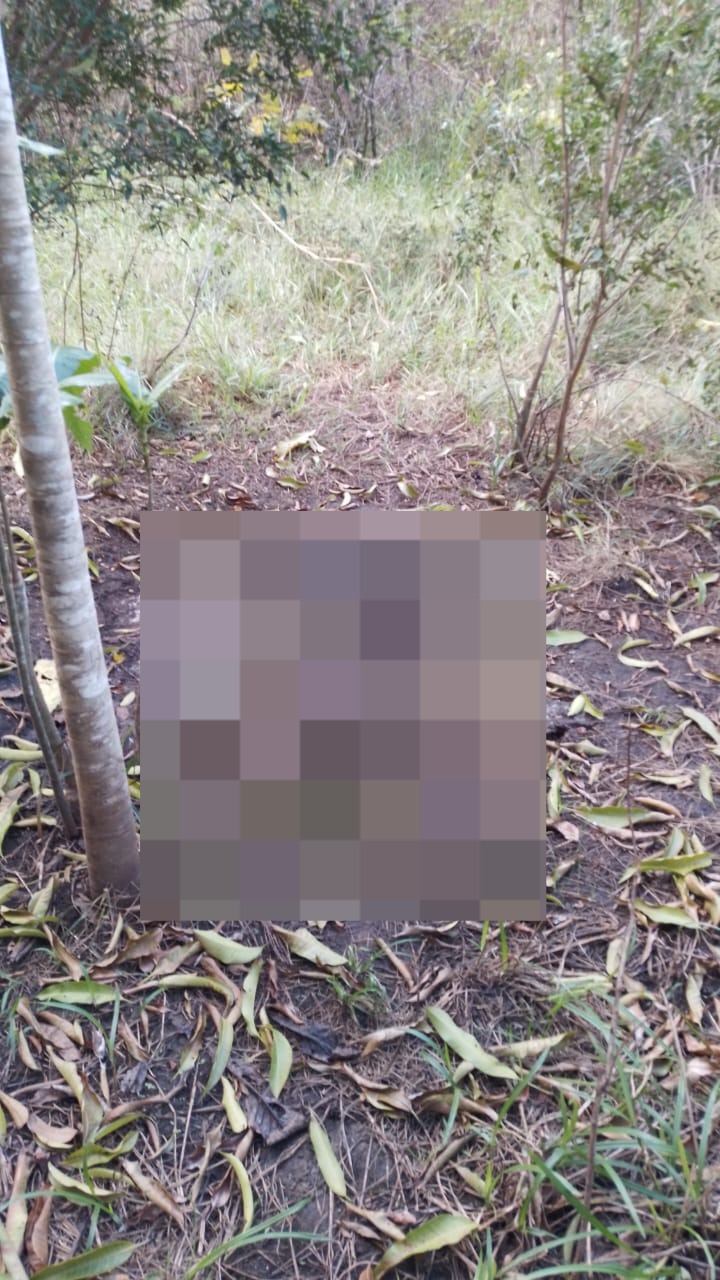 Ossada humana é encontrada na zona Leste de Teresina