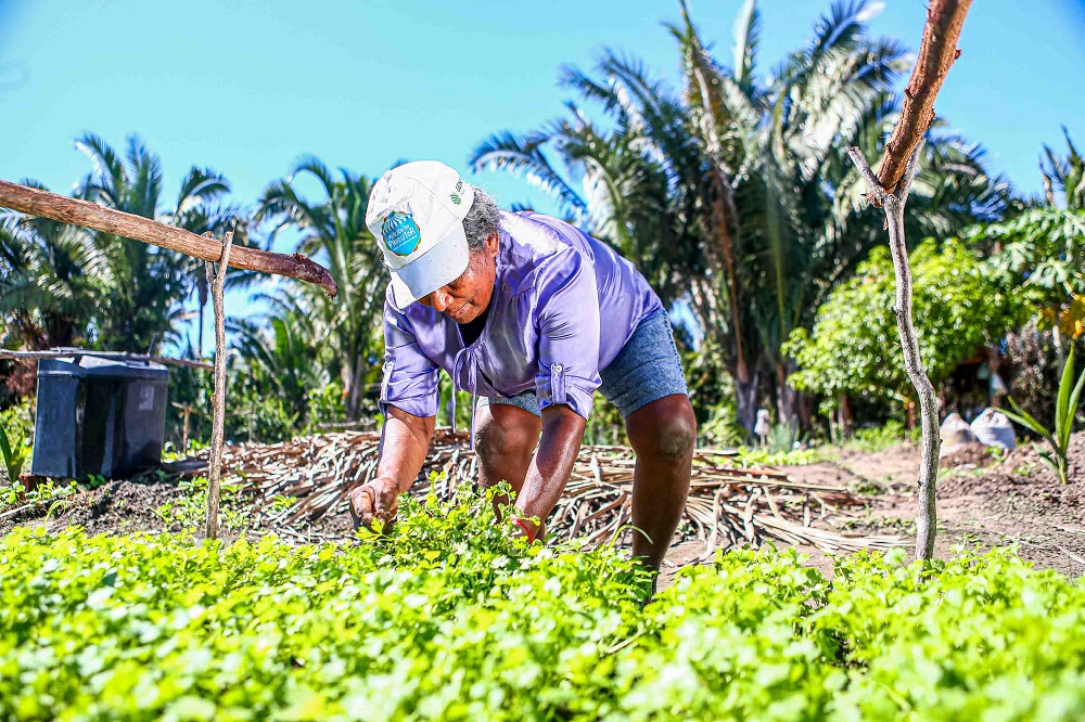 Governo do Piauí vai solicitar empréstimo de R$ 150 milhões junto ao BNDES para a agricultura familiar