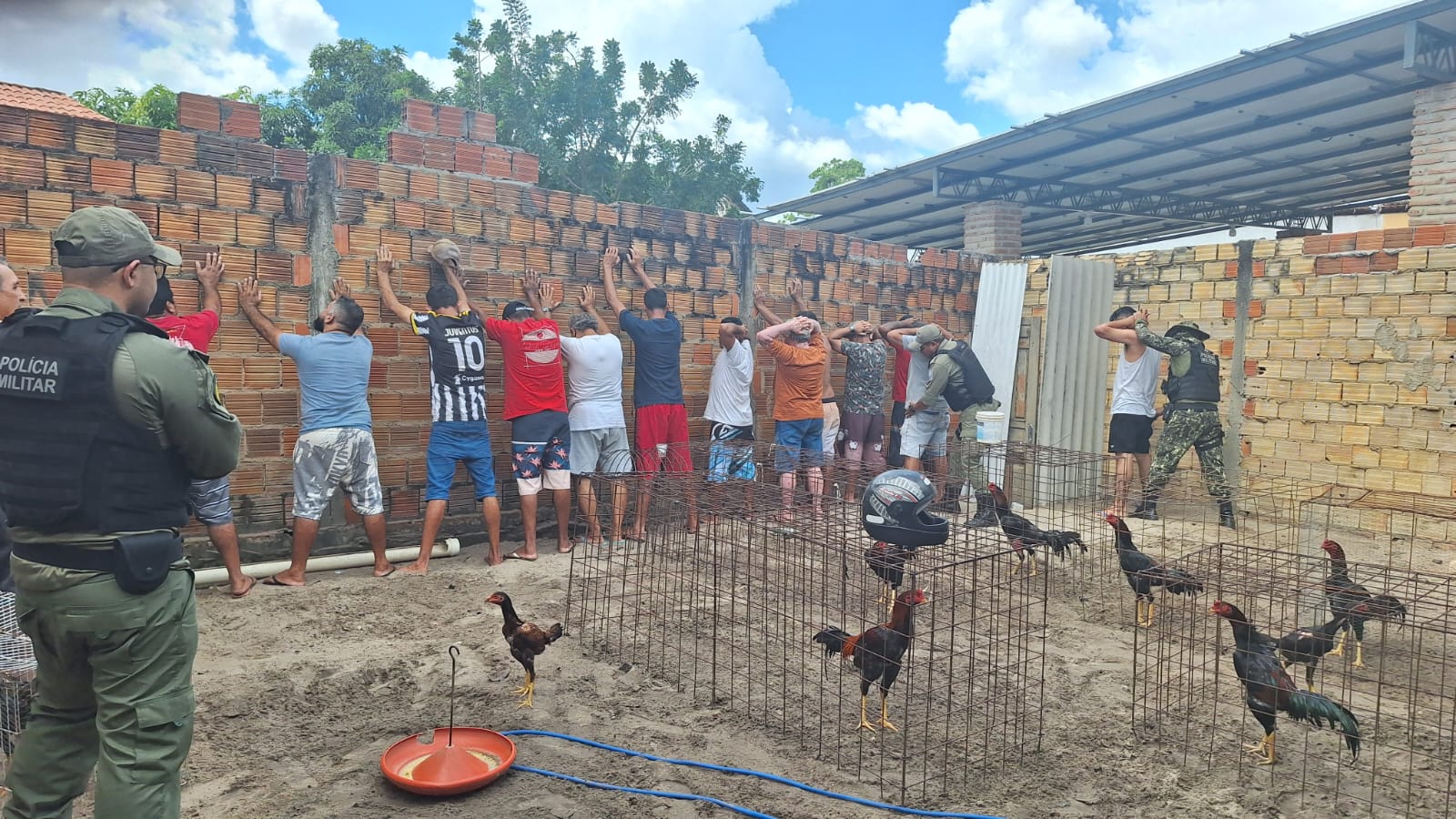 Mais de 40 animais são rsgatados e 16 pessoas são presas em rinha de galo no Piauí